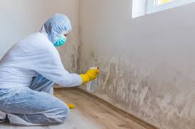 Best Commercial Mold Inspection  in Rupert, ID